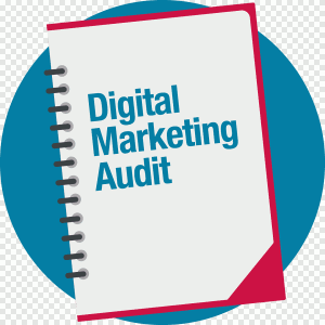 ممیزی تبلیغات دیجیتال / Digital Advertising Audit : به بررسی و بازرسی تبلیغات دیجیتالی فعلی یک کسب و کار، و عملکرد و تاکتیک های مورد استفاده در آن، اطلاق میگردد.