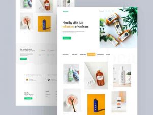 صفحه فرود / Landing Page : اولین صفحهای است که بازدیدکننده سایت با آن مواجه میشود.