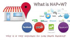 NAP+W : مخفف اسم، آدرس، شماره تلفن و وبسایتی است که اغلب در جهت استناد یا فهرستبندی یک کسب و کار به عنوان بخشی از سئوی محلی استفاده میشود.