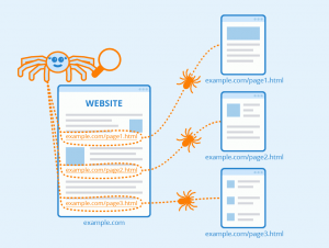 الگوریتم موتور جستجو / Search Engine Algorithm : یک فرمول یا مجموعهای از قوانین، که موتور جستجو از آن استفاده میکند تا تصمیم بگیرد کدام وبسایتها را در صفحه نتایج خود نمایش دهد.
