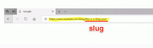 نامک / Slug : بخشی از URL که یک صفحه وب به خصوص را تعریف میکند.